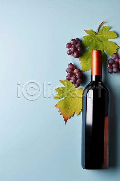 사람없음 JPG 디지털합성 편집이미지 하이앵글 목업 와인 와인병 카피스페이스 편집소스 포도 포도잎