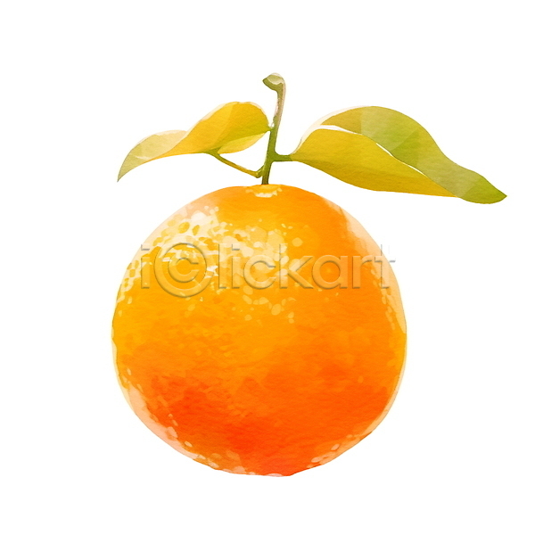 사람없음 PSD 일러스트 귤 붓터치 수채화(물감) 오렌지 잎 주황색