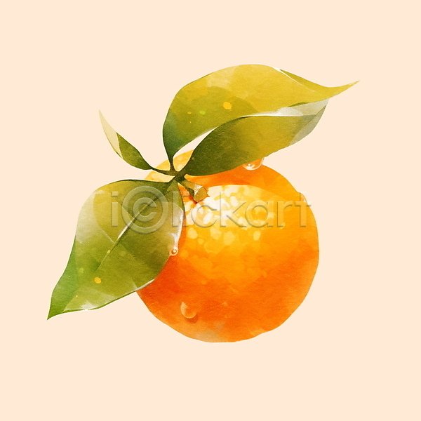 사람없음 PSD 일러스트 귤 물방울 붓터치 수분 수채화(물감) 오렌지 잎 주황색