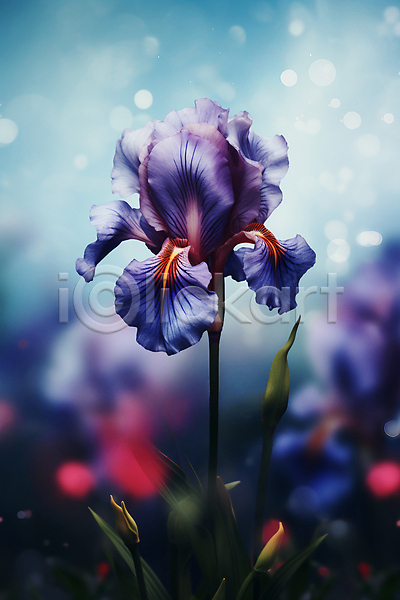 사람없음 JPG 아웃포커스 편집이미지 보케 붓꽃 아이리스 자연 파란색 포스터 풀(식물) 풍경(경치)
