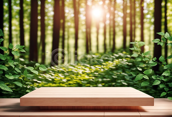 사람없음 JPG 편집이미지 나무 나무판자 단상 목재 받침대 사각형 숲 잎 자연 포디움 풀(식물) 햇빛