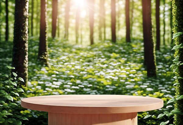 사람없음 JPG 편집이미지 나무 나무판자 단상 목재 받침대 숲 원형 자연 포디움 풀(식물) 햇빛