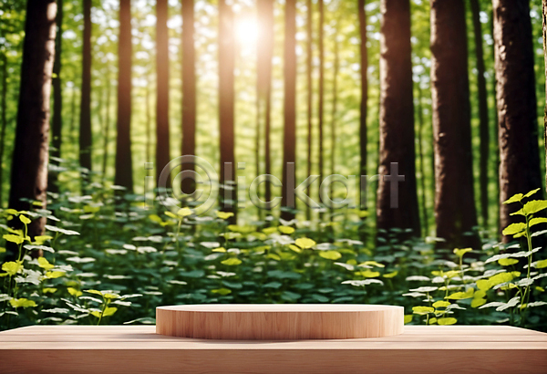 사람없음 JPG 편집이미지 나무 나무판자 단상 목재 받침대 사각형 숲 원형 잎 자연 포디움 풀(식물) 햇빛