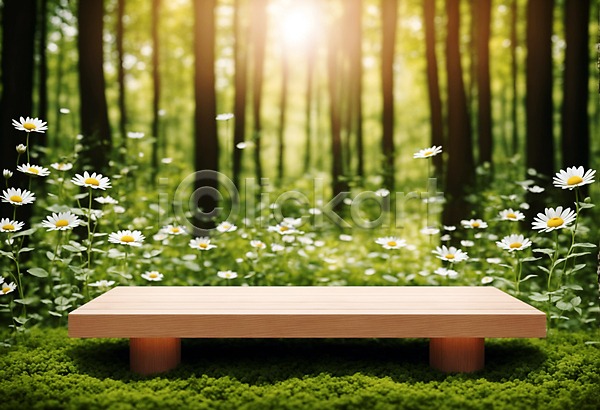 사람없음 JPG 편집이미지 꽃 나무 나무판자 단상 목재 받침대 사각형 숲 자연 포디움 풀(식물) 햇빛