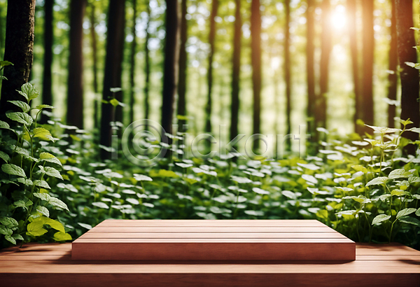 사람없음 JPG 편집이미지 나무 나무판자 단상 목재 받침대 사각형 숲 잎 자연 포디움 풀(식물) 햇빛