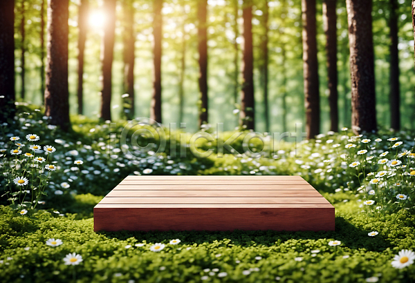 사람없음 JPG 편집이미지 꽃 나무 나무판자 단상 목재 받침대 사각형 숲 자연 포디움 풀(식물) 햇빛