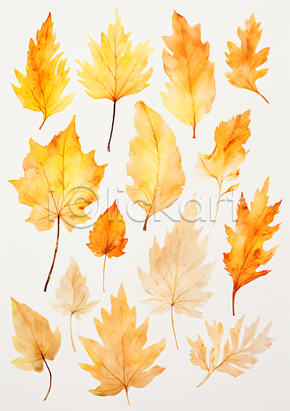 사람없음 JPG 일러스트 가을(계절) 그림 낙엽 노란색 단풍 수채화(물감) 엘리먼트