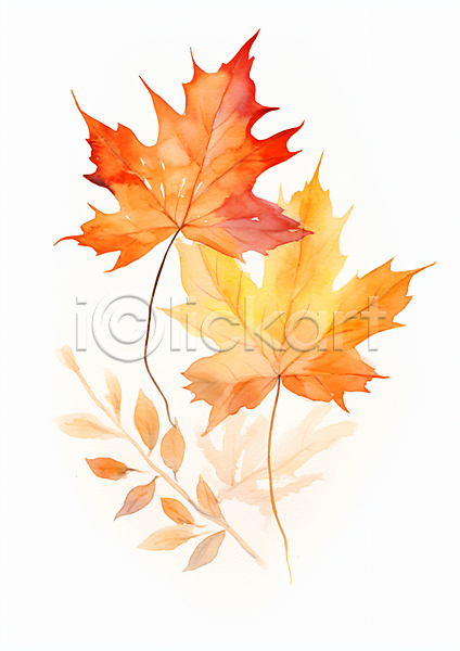 사람없음 JPG 일러스트 가을(계절) 그림 낙엽 단풍 수채화(물감) 주황색