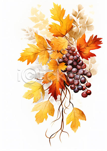 사람없음 JPG 일러스트 가을(계절) 그림 낙엽 단풍 수채화(물감) 열매 잎 주황색