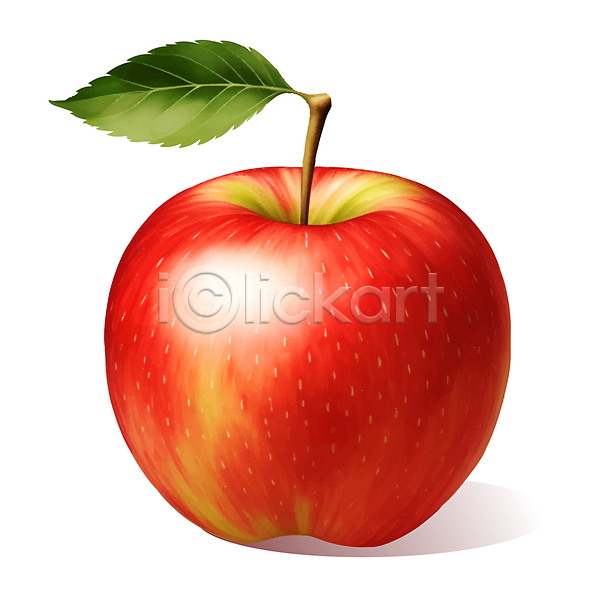 사람없음 AI(파일형식) 일러스트 과일 꼭지 빨간색 사과 잎 한개