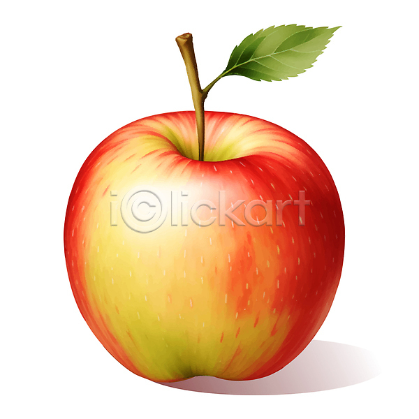 사람없음 AI(파일형식) 일러스트 과일 꼭지 빨간색 사과 잎 한개