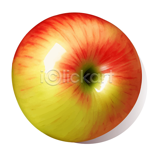 사람없음 AI(파일형식) 일러스트 과일 꼭지 빨간색 사과 한개