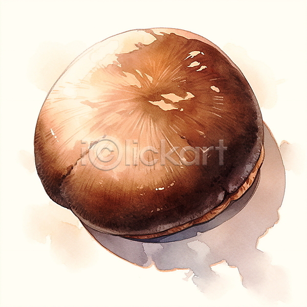 사람없음 JPG 일러스트 갈색 버섯 수채화(물감) 식용버섯 음식