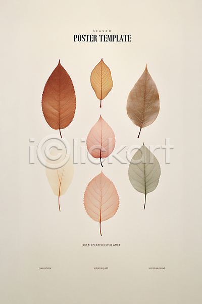 감성 사람없음 PSD 디지털합성 편집이미지 가을(계절) 나뭇잎 낙엽 단풍 미니멀 편집소스 포스터