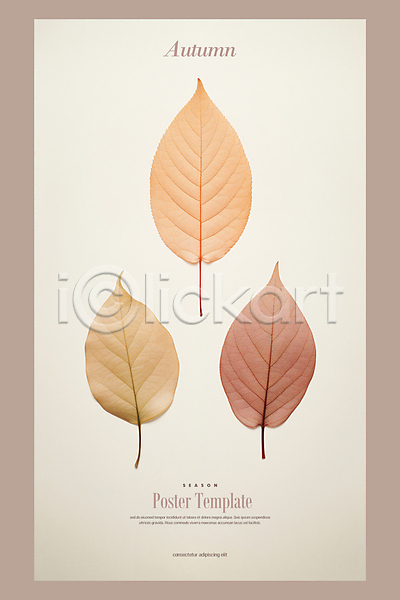 감성 사람없음 PSD 디지털합성 편집이미지 가을(계절) 나뭇잎 낙엽 단풍 미니멀 편집소스 포스터