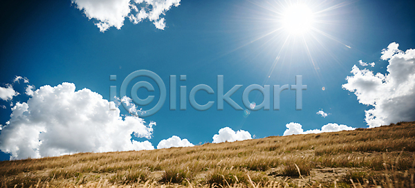 사람없음 JPG 편집이미지 구름(자연) 맑음 백그라운드 자연 잔디 초원(자연) 태양 파란색 풍경(경치) 하늘 햇빛