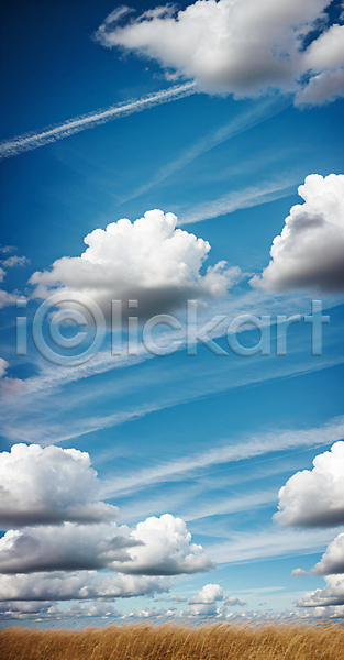 사람없음 JPG 편집이미지 구름(자연) 맑음 백그라운드 자연 파란색 풀(식물) 풍경(경치) 하늘 햇빛
