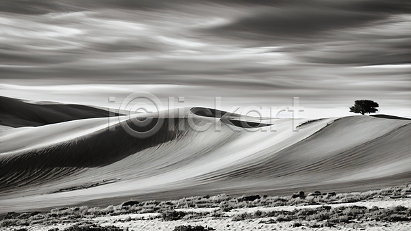 사람없음 JPG 편집이미지 흑백 구름(자연) 나무 모래 모래언덕 사막 자연 풀(식물) 풍경(경치) 하늘