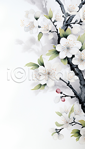 사람없음 JPG 일러스트 꽃봉오리 나뭇가지 매화 백그라운드 번짐 붓터치 수묵화 수채화(물감) 잎 흰색
