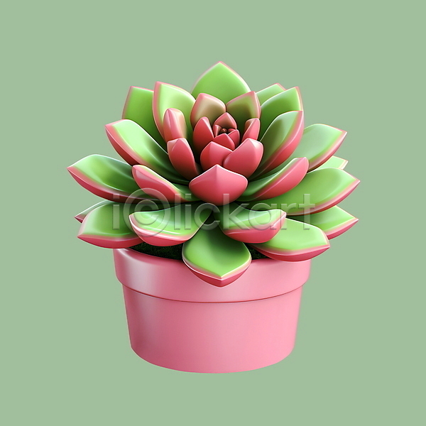 사람없음 3D 3D아이콘 PSD 아이콘 다육식물 분홍색 원예 초록색