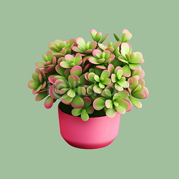 사람없음 3D 3D아이콘 PSD 아이콘 다육식물 분홍색 원예 초록색