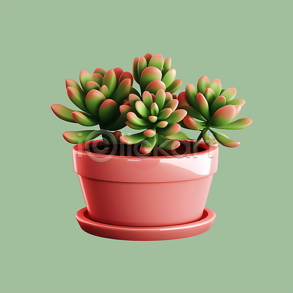 사람없음 3D 3D아이콘 PSD 아이콘 다육식물 분홍색 연두색 원예