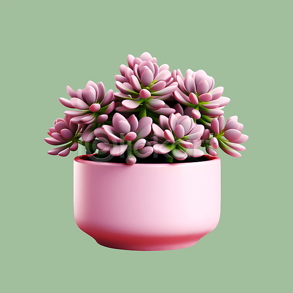 사람없음 3D 3D아이콘 PSD 아이콘 다육식물 분홍색 원예