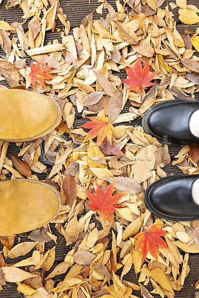 휴식 신체부위 JPG 포토 가을(계절) 낙엽 단양 단풍 데이트 땅 바닥 발 신발 커플 풍경(경치) 휴가 힐링
