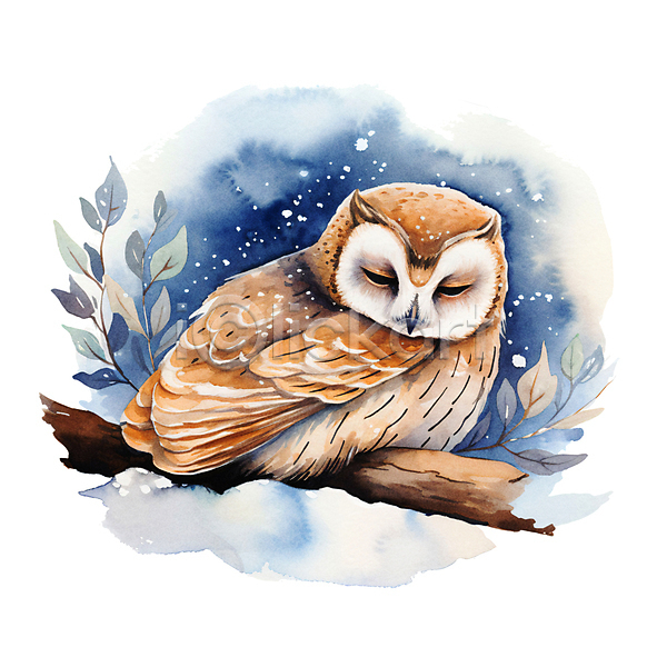 귀여움 사람없음 JPG 일러스트 겨울 겨울잠 나뭇가지 나뭇잎 눈(날씨) 눈감음 동물 번짐 붓터치 수채화(물감) 올빼미 잠 한마리