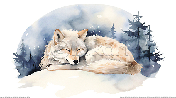 귀여움 사람없음 JPG 일러스트 겨울 겨울잠 나무 눈(날씨) 눈감음 늑대 동물 번짐 붓터치 수채화(물감) 잠 포유류 한마리