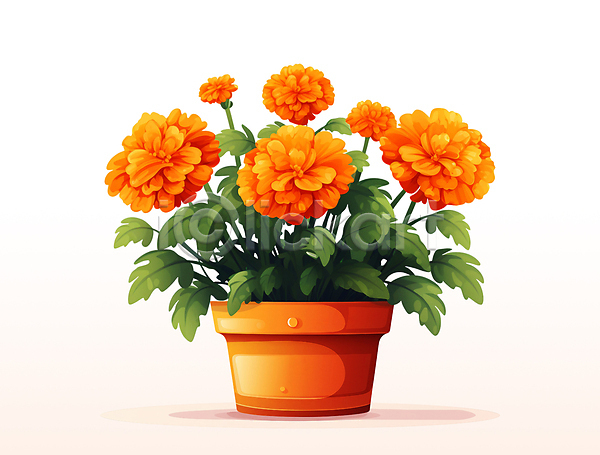 사람없음 PSD 일러스트 매리골드 오브젝트 원예 잎 주황색 화분