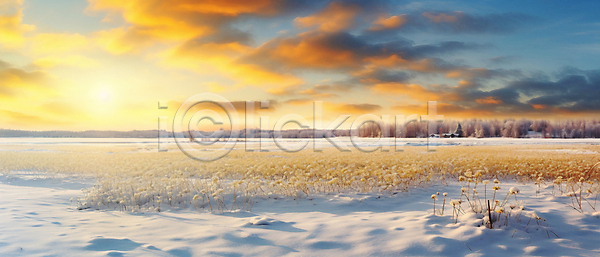 사람없음 JPG 디지털합성 편집이미지 겨울 구름(자연) 꽃밭 나무 눈덮임 설원 일몰 자연 초원(자연) 하늘 햇빛