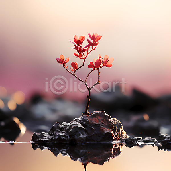 사람없음 JPG 디지털합성 편집이미지 꽃 돌(바위) 물 반사 분홍색 자연 풍경(경치)