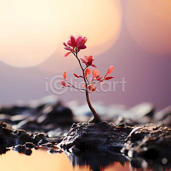 사람없음 JPG 디지털합성 편집이미지 꽃 돌(바위) 물 반사 분홍색 자연 풍경(경치)
