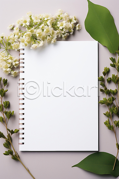 사람없음 JPG 편집이미지 하이앵글 꽃 나뭇가지 백그라운드 사각형 스프링노트 잎 카피스페이스 프레임 흰색