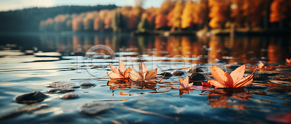 고요 사람없음 JPG 근접촬영 편집이미지 가을(계절) 가을풍경 낙엽 단풍 돌(바위) 물결 반사 자연 풍경(경치) 호수