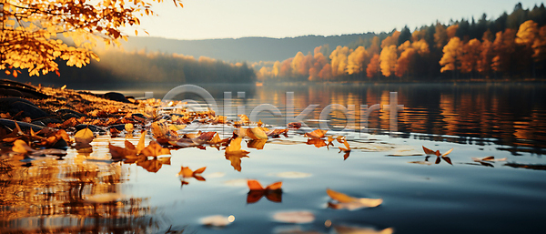 고요 사람없음 JPG 근접촬영 편집이미지 가을(계절) 가을풍경 낙엽 단풍 단풍나무 물결 반사 자연 풍경(경치) 호수