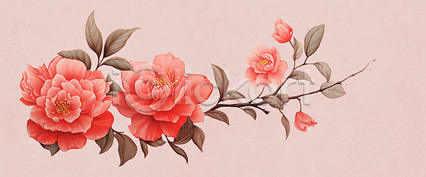 사람없음 JPG 일러스트 겨울꽃 꽃 동백 백그라운드 분홍색 수채화(물감) 잎 자연