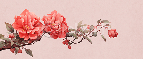 사람없음 JPG 일러스트 겨울꽃 꽃 동백 백그라운드 분홍색 수채화(물감) 잎 자연