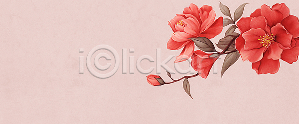 사람없음 JPG 일러스트 겨울꽃 꽃 동백 백그라운드 분홍색 수채화(물감) 잎 자연 카피스페이스
