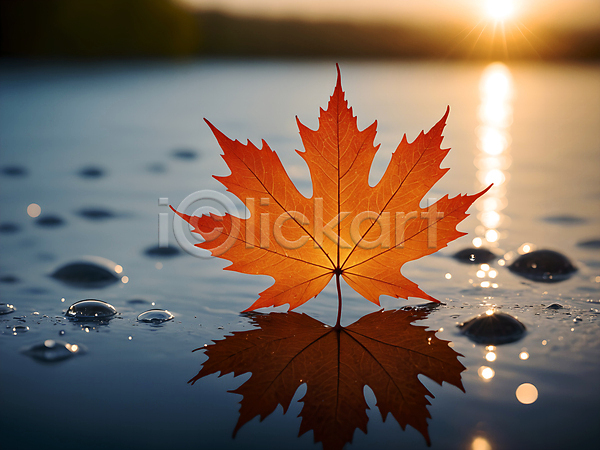 사람없음 JPG 디지털합성 편집이미지 가을(계절) 나뭇잎 낙엽 단풍 물 물방울 이슬 자연 편집소스 햇빛
