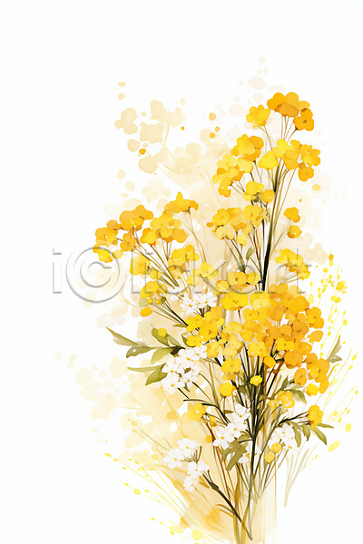 사람없음 JPG 편집이미지 노란색 백그라운드 수채화(물감) 안개꽃 여러송이 자연 줄기