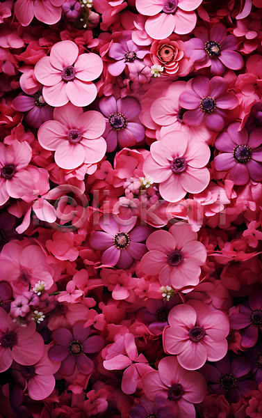 감성 사람없음 JPG 편집이미지 꽃 백그라운드 분홍색 자연