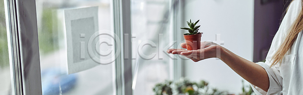 건조 사람 여자 한명 JPG 포토 해외이미지 구성 꽃 꽃다발 꽃무늬 꽃집 내추럴 다발 디자인 라이프스타일 만들기 미술 배열 벚꽃 봄 뷰티 비즈니스 상점 손 수공예 식물 실내 업무 자연 작업실 장식 주인 주택 중소기업 직업 창조 취미 탁자 해외202310 해외포토 핸드메이드