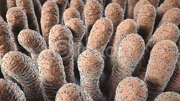사람 사람없음 3D JPG 일러스트 포토 해외이미지 과학 내부 박테리아 백그라운드 식물 신체 약 염증 요거트 질병 해부 해외202310 현미경 현실