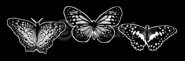 떨어짐 뜨거움 분노 EPS 일러스트 템플릿 해외이미지 고립 곤충 그래픽 그런지 나비 디자인 디지털 모양 모음 미술 배너 백그라운드 벡터 복고 뷰티 세트 소리 수집 수확 스타일 스티커 엘리먼트 오브젝트 유행 자르기 잡지 점 줄무늬 질감 추상 테크노 팝 펑크 해외202310 해외일러스트 효과