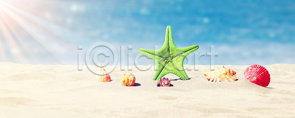 휴식 사람없음 JPG 포토 해외이미지 껍질 모래 모래사장 물 바다 바닷속 백그라운드 별 불가사리 산호 섬 수족관 수중 암초 야생동물 어류 여름 여행 이국적 자연 장식 조개 태평양 파도 파라다이스 파란색 풍경 해변 해외202310 해외포토 햇빛 휴가 휴양지