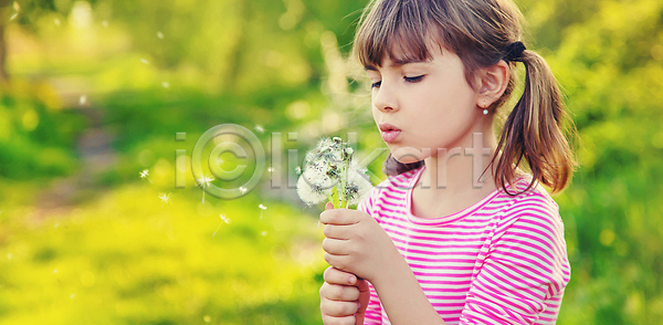 달콤 만족 자유 천진난만 행복 사람 어린이 여자 한명 JPG 옆모습 포토 해외이미지 5월 계절 공원 꽃 놀이 민들레 배너 백그라운드 봄 불기 뷰티 손 솜털 씨앗 알레르기 염원 입술 자연 작음 초록색 카피스페이스 타격 태양 해외202310 해외포토 햇빛