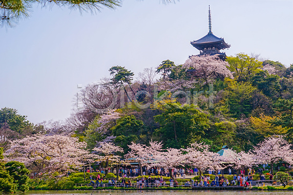 군중 JPG 포토 해외이미지 벚꽃 벚나무 봄 요코하마 일본성 풍경(경치) 하늘 해외202310