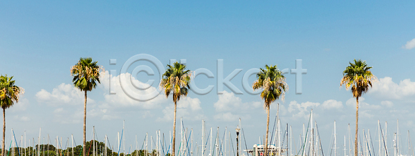 사람없음 JPG 포토 해외이미지 광 나무 로스앤젤레스 많음 미국 백그라운드 불꽃 섬 손바닥 신혼여행 야외 여름 여행 우주 캘리포니아 큼 태양 파란색 폴리네시아 프랑스어 하늘 하와이 하와이인 해외202310 해외포토 햇빛 호텔 휴가